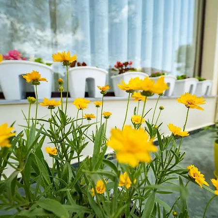 Hotell Aljor Golem (Tirana)