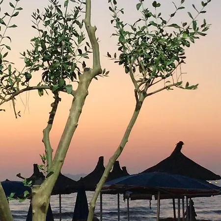 Aljor Golem (Tirana)