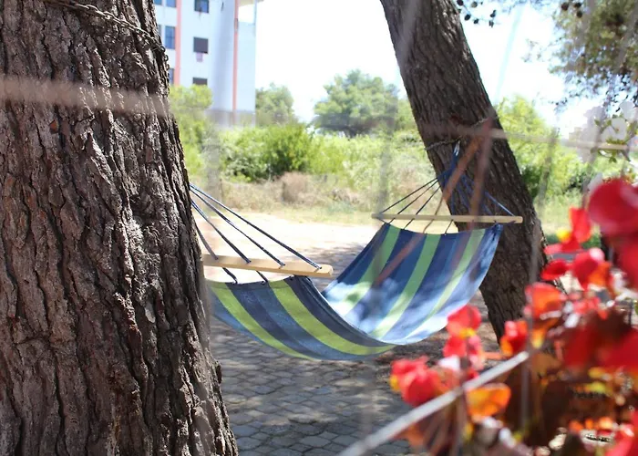 Ξενοδοχείο Aljor Golem (Tirana)