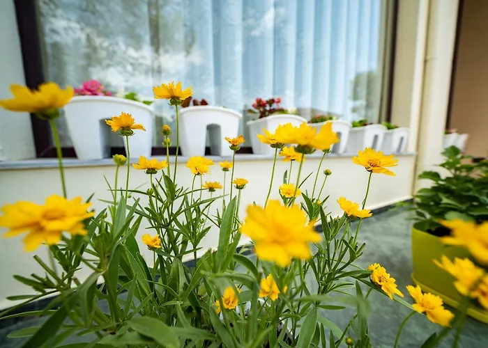 فندق Aljor غوليم